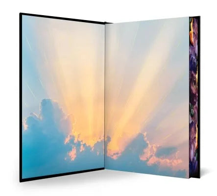 SIGNED LIMITED EDITION: Light Wielder by Raschel Schneider